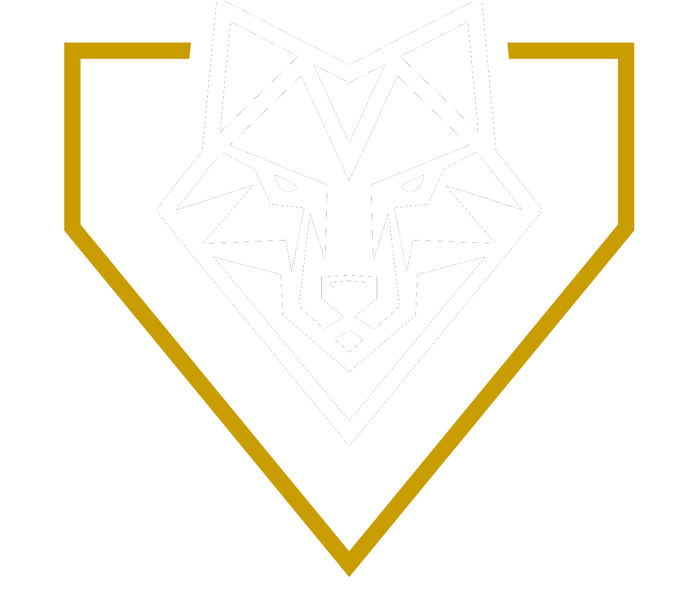 LUPUS Beteiligungs AG Logo